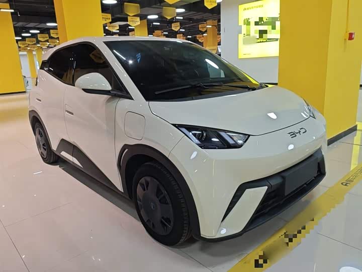 Фото 4 - BYD Seagull