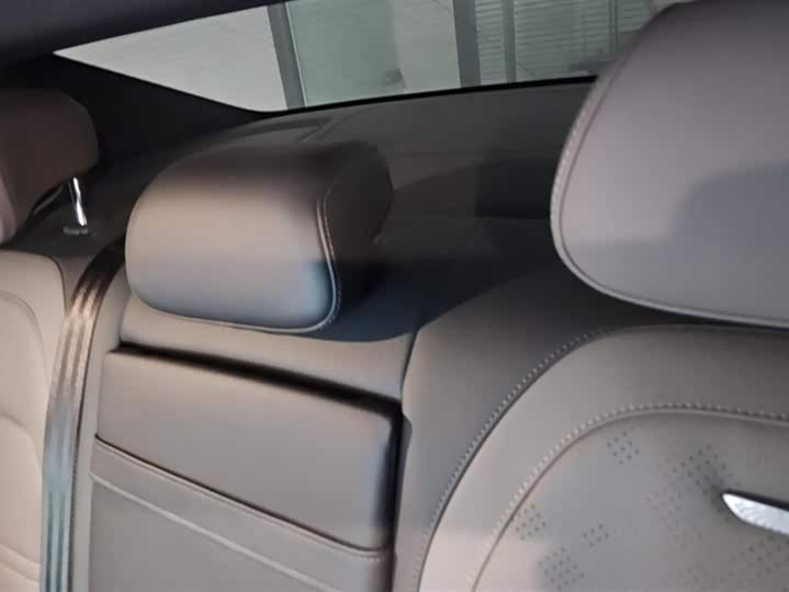 Фото 4 - Hongqi EH7