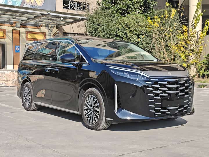 Фото 3 - BYD Xia