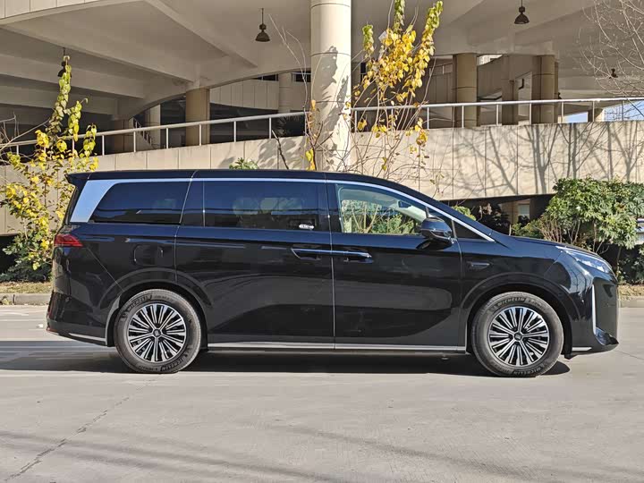 Фото 4 - BYD Xia