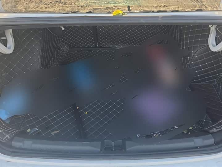 Фото 4 - Volkswagen Lavida