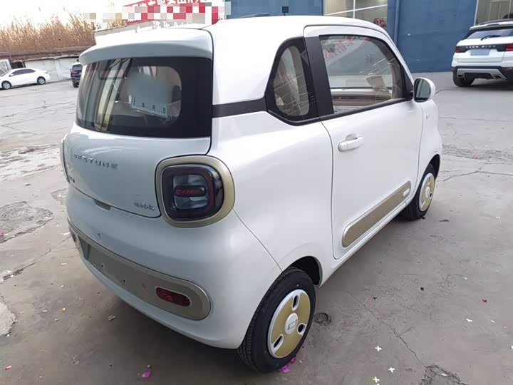 Фото 7 - Bestune Pony