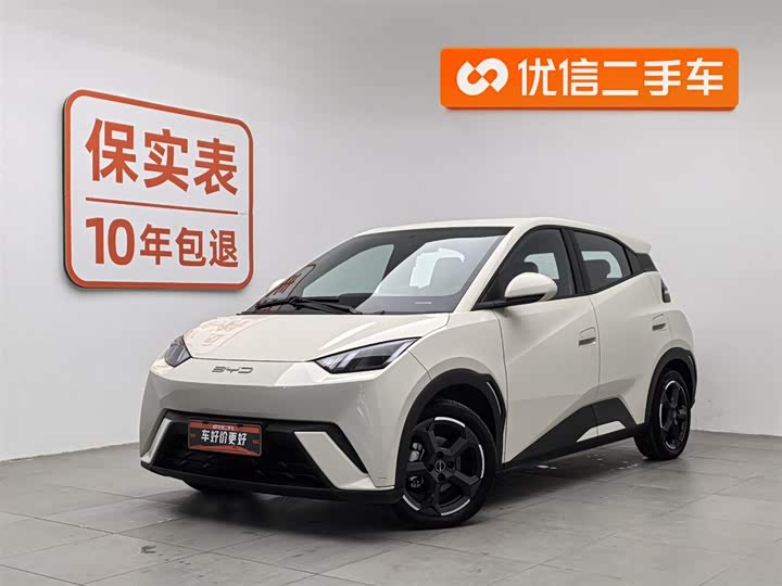 Фото 1 - BYD Seagull