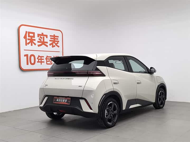 Фото 2 - BYD Seagull