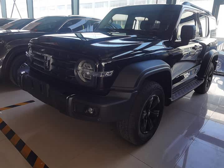 Фото 1 - Tank 300