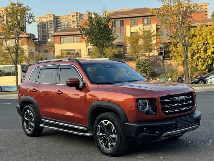 Фото 3 - Haval Dargo