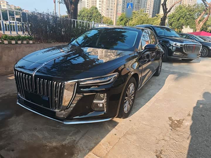 Фото 1 - Hongqi H5