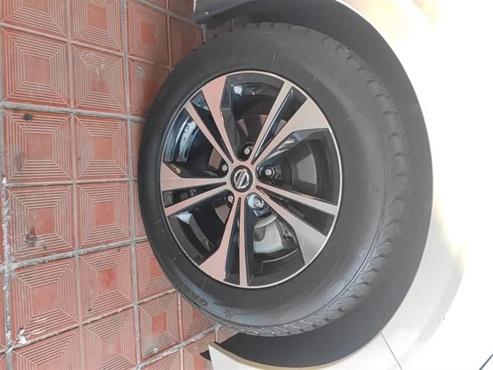 Фото 6 - Nissan Sylphy