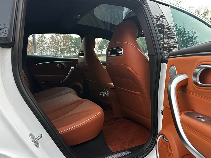 Фото 5 - Ora Lightning Cat (07)