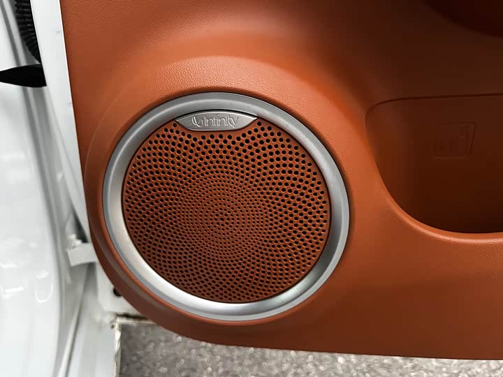 Фото 6 - Ora Lightning Cat (07)