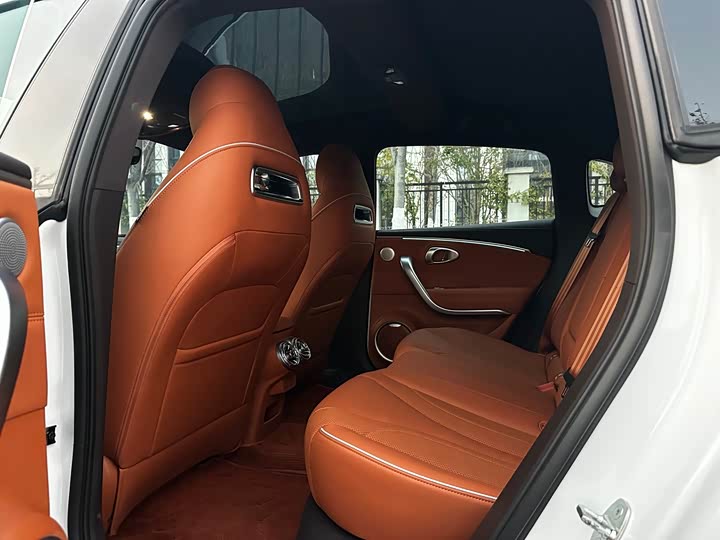 Фото 7 - Ora Lightning Cat (07)