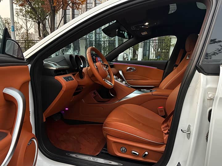 Фото 9 - Ora Lightning Cat (07)