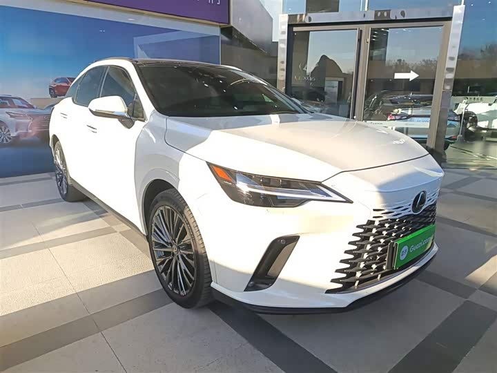 Фото 4 - Lexus RX