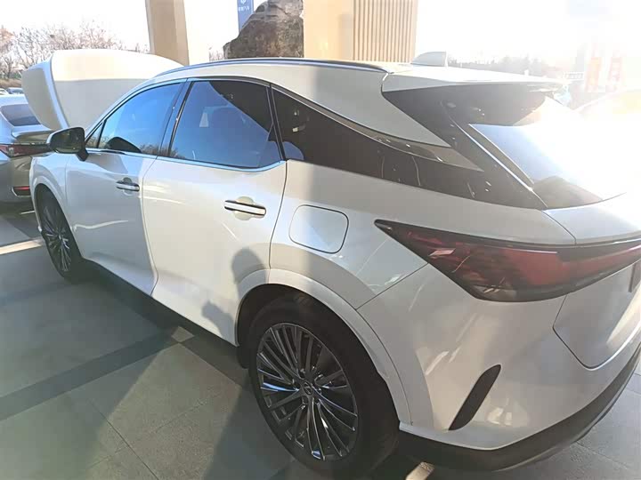 Фото 5 - Lexus RX