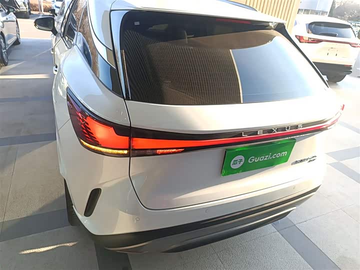 Фото 6 - Lexus RX