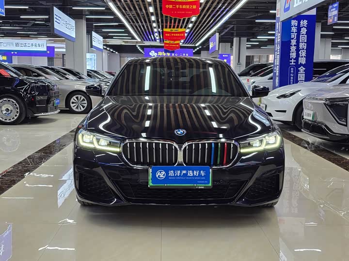 Фото 2 - BMW 5 Series Hybrid