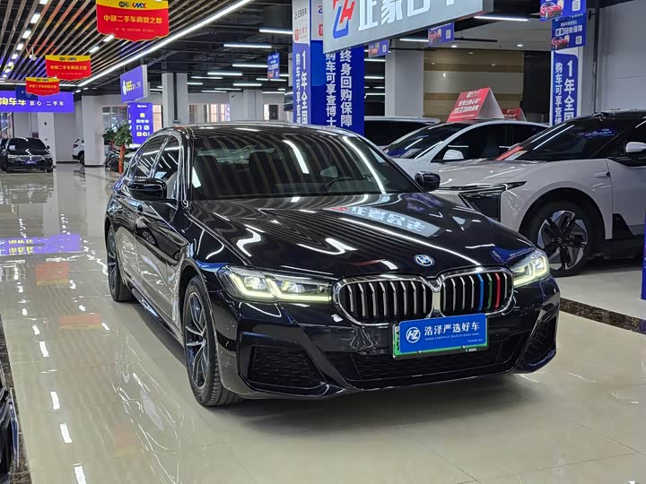 Фото 3 - BMW 5 Series Hybrid