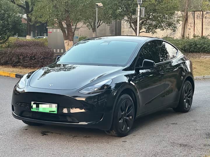 Фото 1 - Tesla Model Y