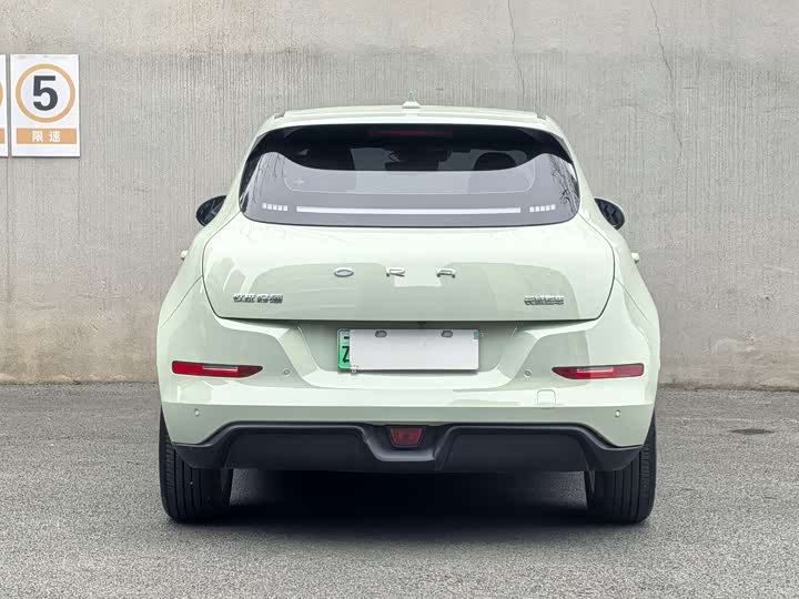 Фото 5 - Ora Good Cat (03)