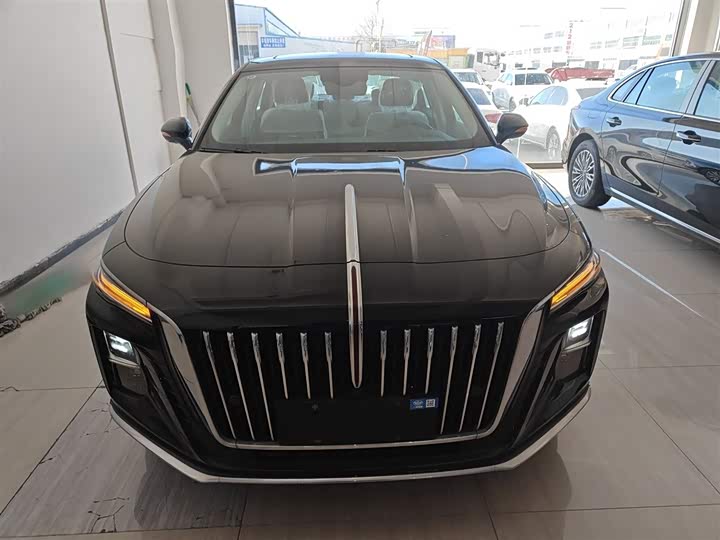 Фото 3 - Hongqi H5