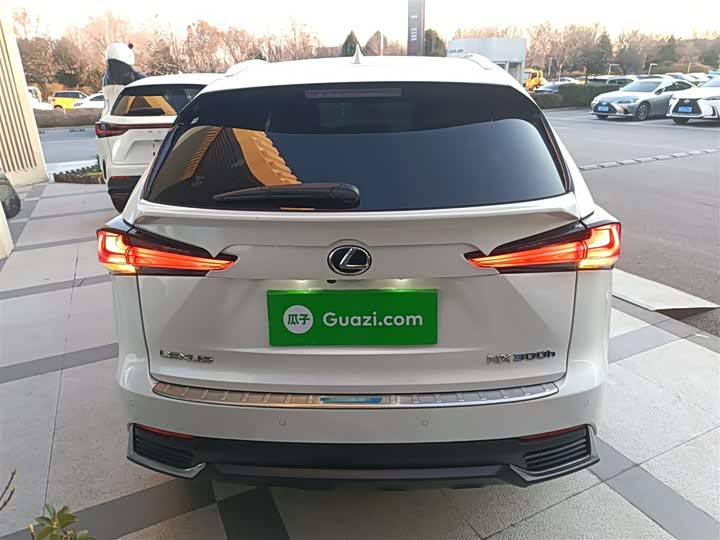 Фото 6 - Lexus NX