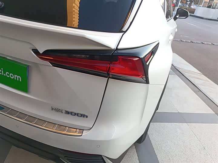 Фото 8 - Lexus NX