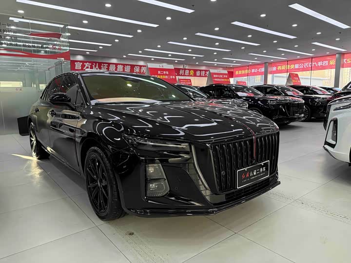 Фото 3 - Hongqi H5