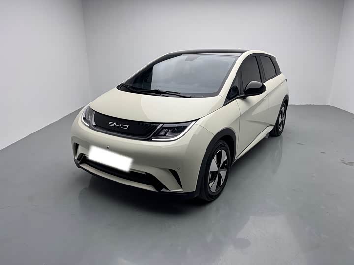 Фото 1 - BYD Dolphin