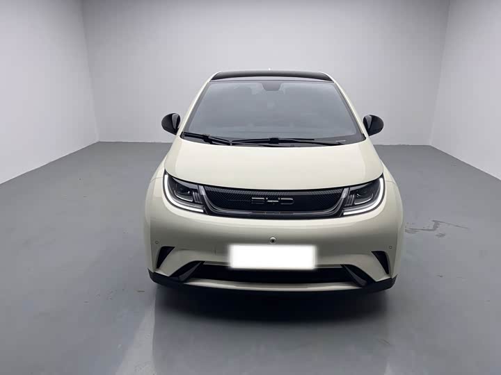 Фото 2 - BYD Dolphin