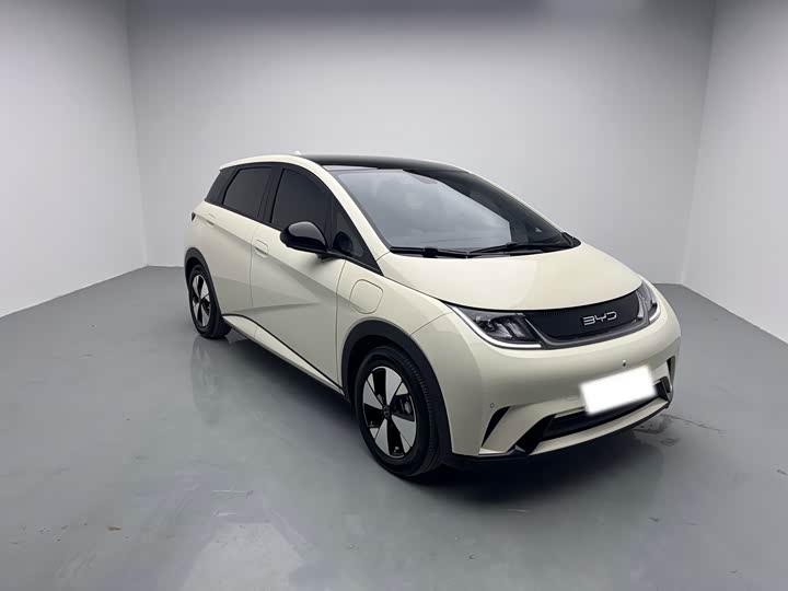 Фото 3 - BYD Dolphin