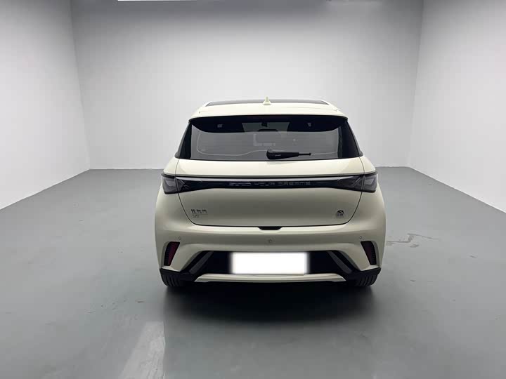 Фото 4 - BYD Dolphin