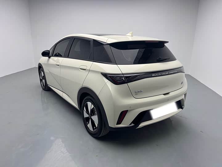 Фото 6 - BYD Dolphin