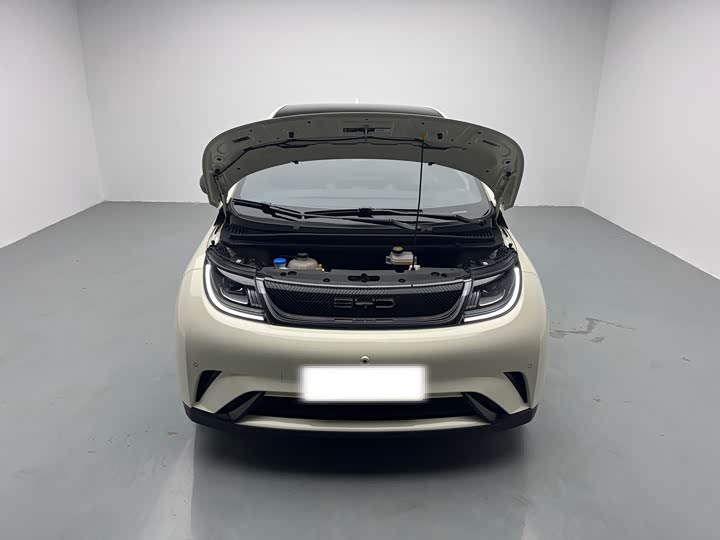 Фото 7 - BYD Dolphin