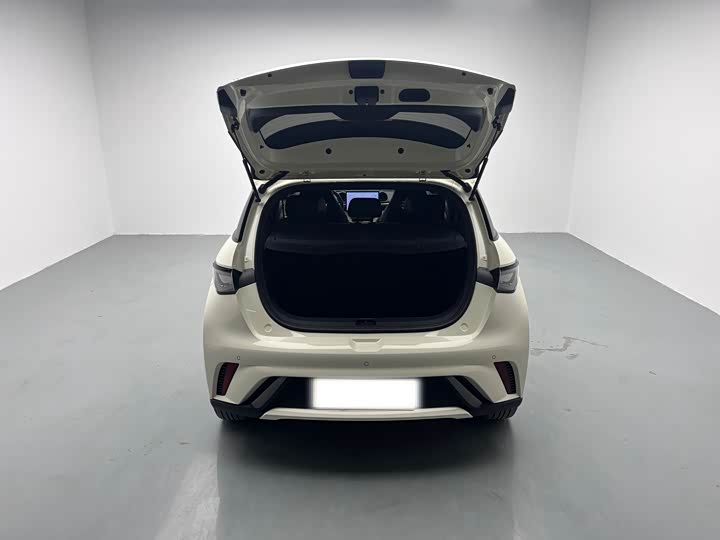 Фото 8 - BYD Dolphin