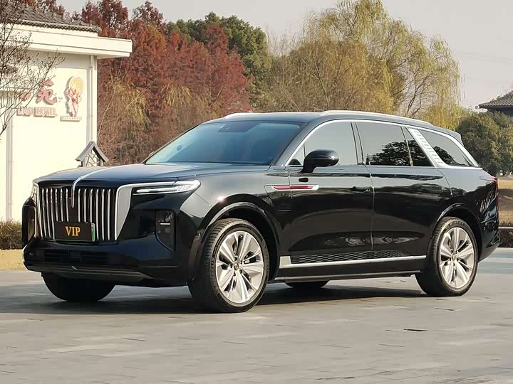 Фото 1 - Hongqi E-HS9