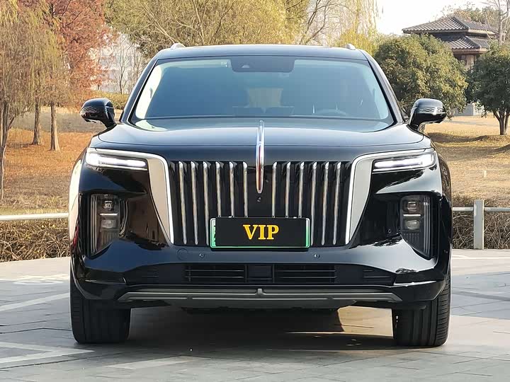 Фото 2 - Hongqi E-HS9