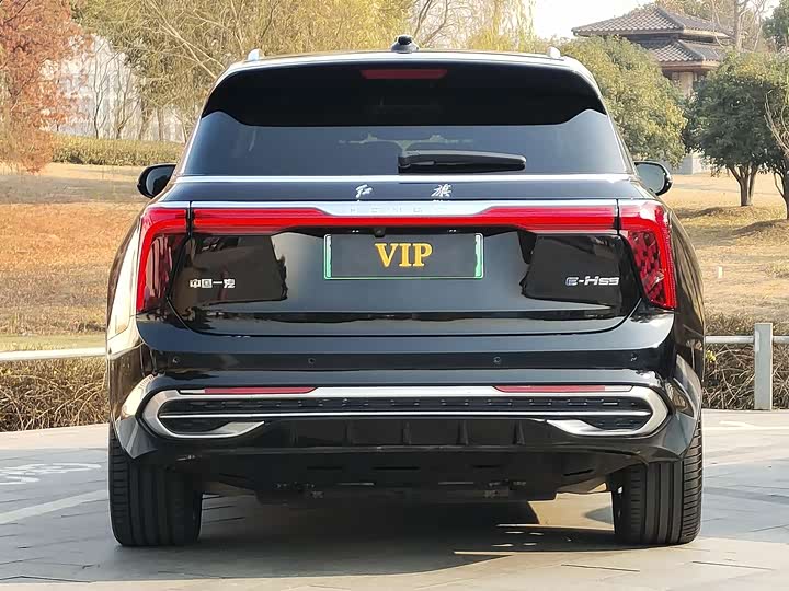 Фото 3 - Hongqi E-HS9