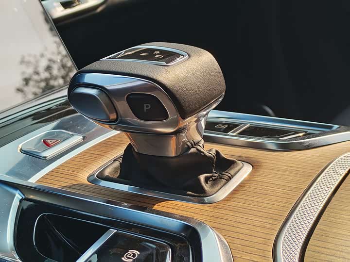 Фото 6 - Hongqi E-HS9