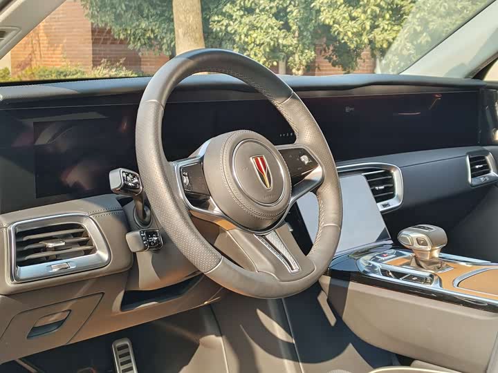 Фото 8 - Hongqi E-HS9