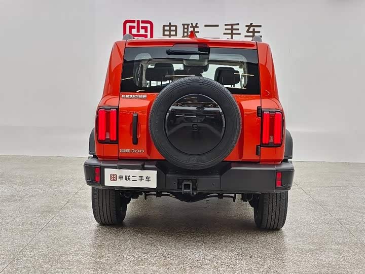 Фото 3 - Tank 300