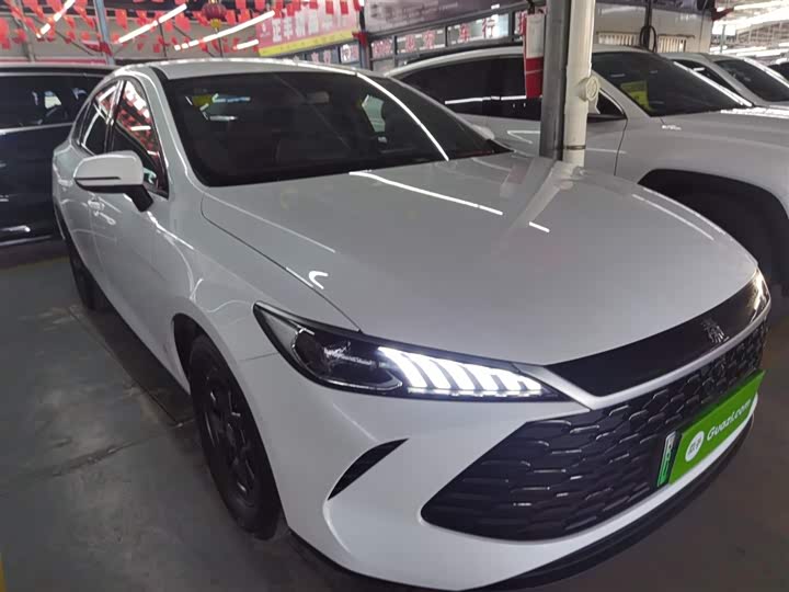 Фото 4 - BYD Qin Plus