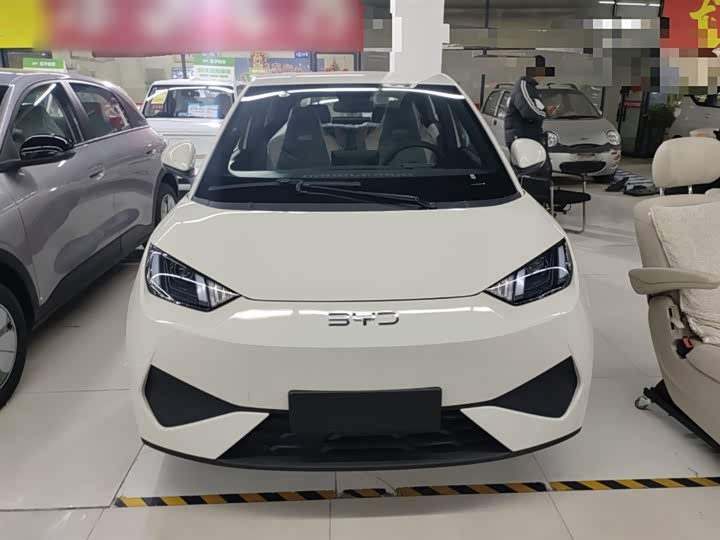 Фото 3 - BYD Seagull