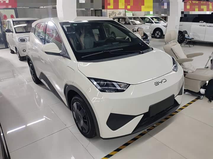 Фото 4 - BYD Seagull