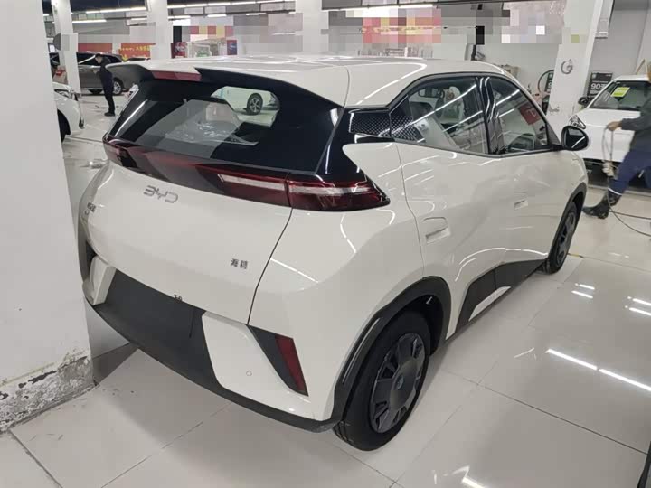 Фото 7 - BYD Seagull