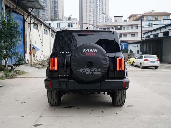 Фото 8 - Tank 300