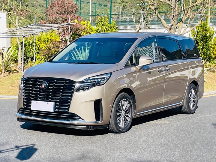 Фото 1 - Buick GL8 ES