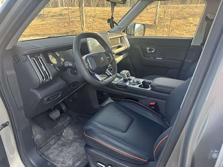 Фото 4 - Jetour Freedom