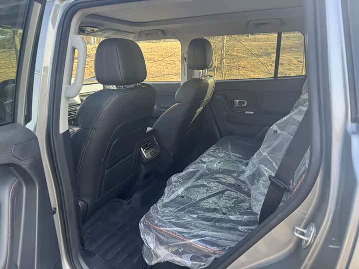 Фото 5 - Jetour Freedom