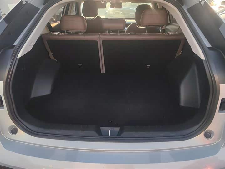 Фото 4 - GAC Trumpchi GS4