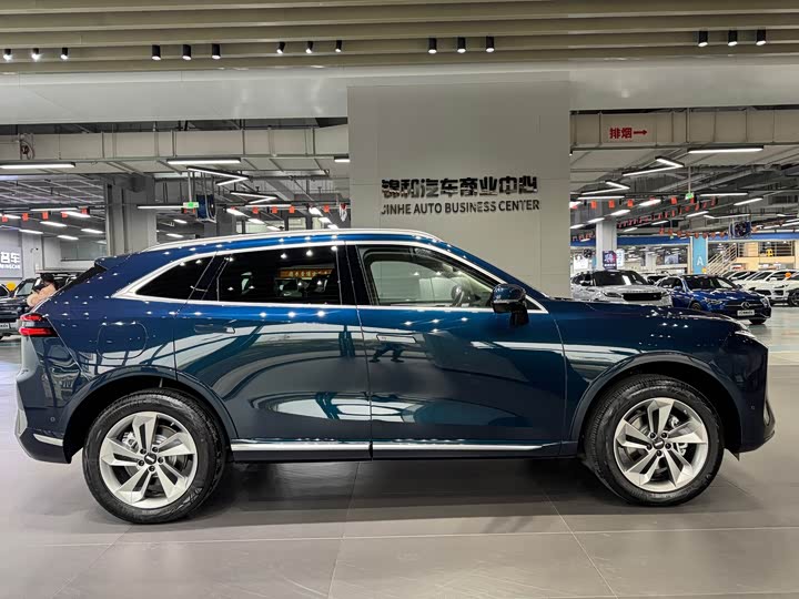 Фото 4 - Wey Mocca Hybrid